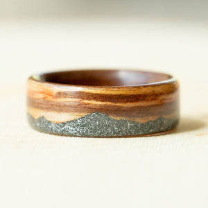 Space Mountain on Zebra Wood