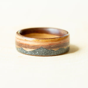 Space Mountain on Zebra Wood