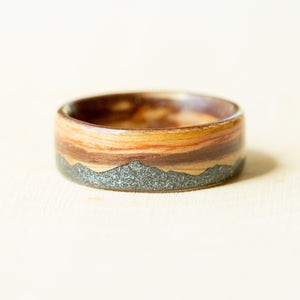 Space Mountain on Zebra Wood