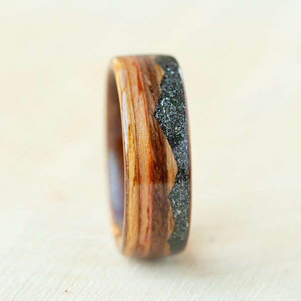 Space Mountain on Zebra Wood