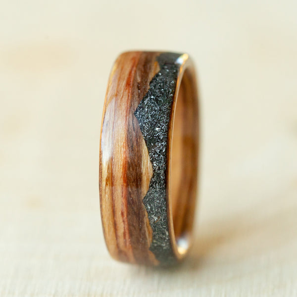 Space Mountain on Zebra Wood