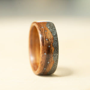 Space Mountain on Rosewood